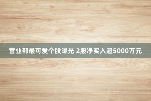 营业部最可爱个股曝光 2股净买入超5000万元