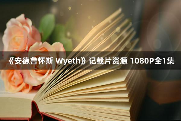 《安德鲁怀斯 Wyeth》记载片资源 1080P全1集