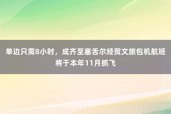 单边只需8小时，成齐至塞舌尔经贸文旅包机航班将于本年11月抓飞